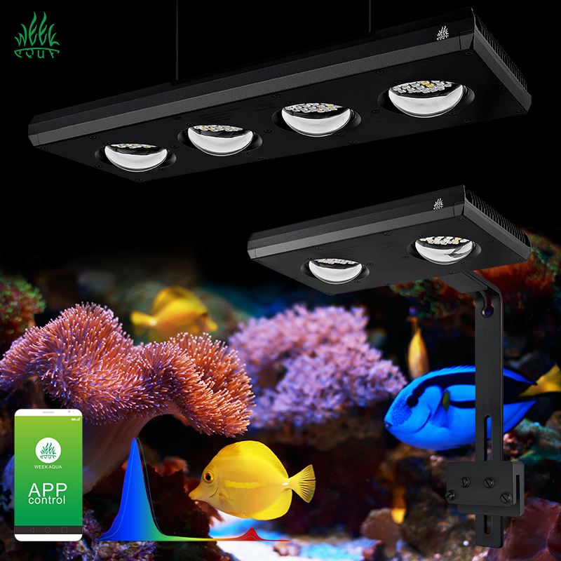 Marine Aquarium Led Lights - ZXY Hot Sale WEEKAQUA Z250 Z400sea