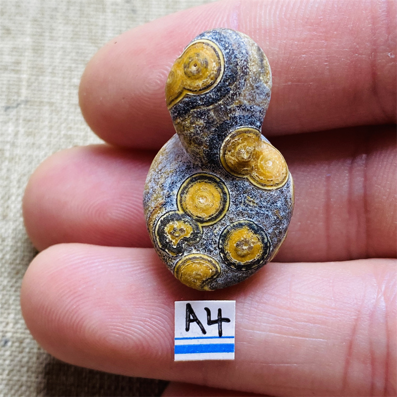 Aquarium & Marine Museum Ums - Gobi Mineral Stone Energy Healing Aquarium