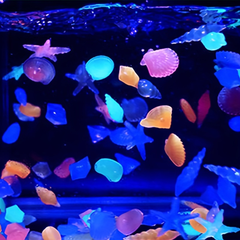100PCS Marine Luminous Stones, - Aquarium Marine Color ulasan dan harga