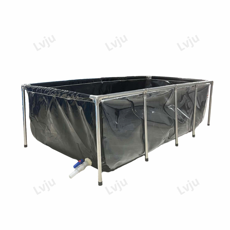Lvju Fish Aquarium Tank  75-11 - Aquarium & Marine Museum Ums ulasan dan harga