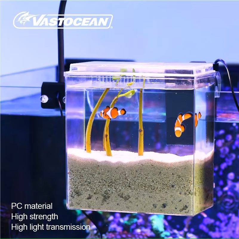 VASTOCEAN Fish Tank External F - Marine Aquarium Protein Skimmer ulasan dan harga