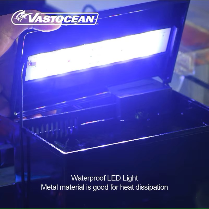 VASTOCEAN Fish Tank External F - Marine Aquarium Protein Skimmer ulasan dan harga