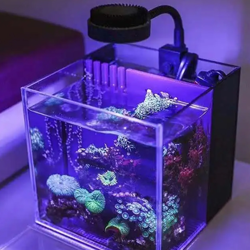 Zetlight Led Light M1 1050 Ful - Marine Aquarium Led Lights ulasan dan harga