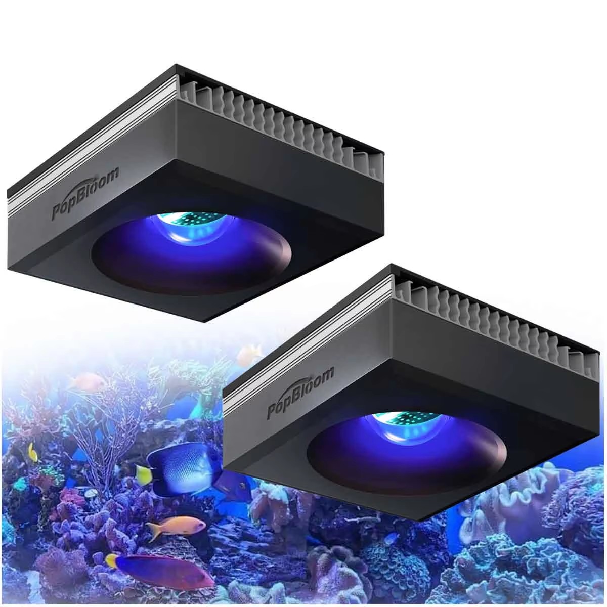 PopBloom RL90 WiFi Reef Aquari - Marine Aquarium Led Lights ulasan dan harga