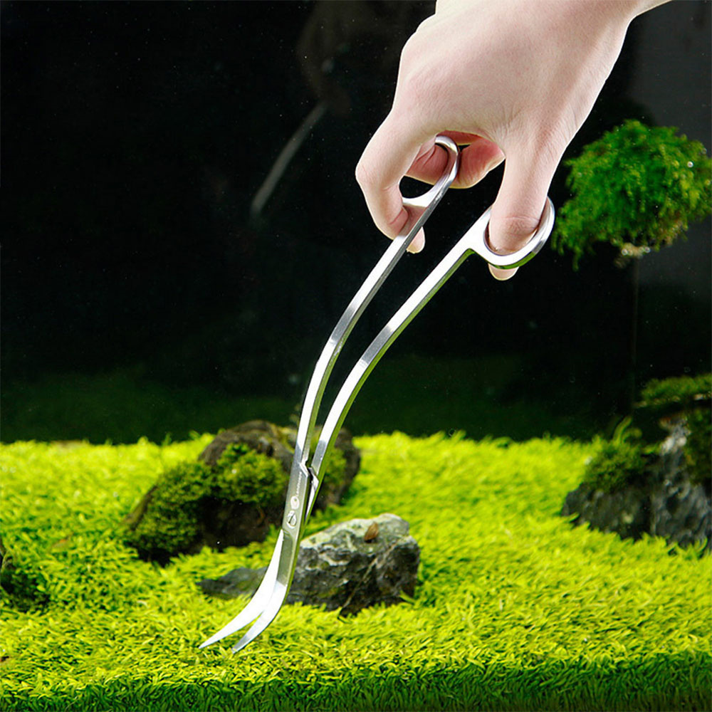 Aquarium Accessories Hard Stai - Aquarium & Marine Museum Ums ulasan dan harga