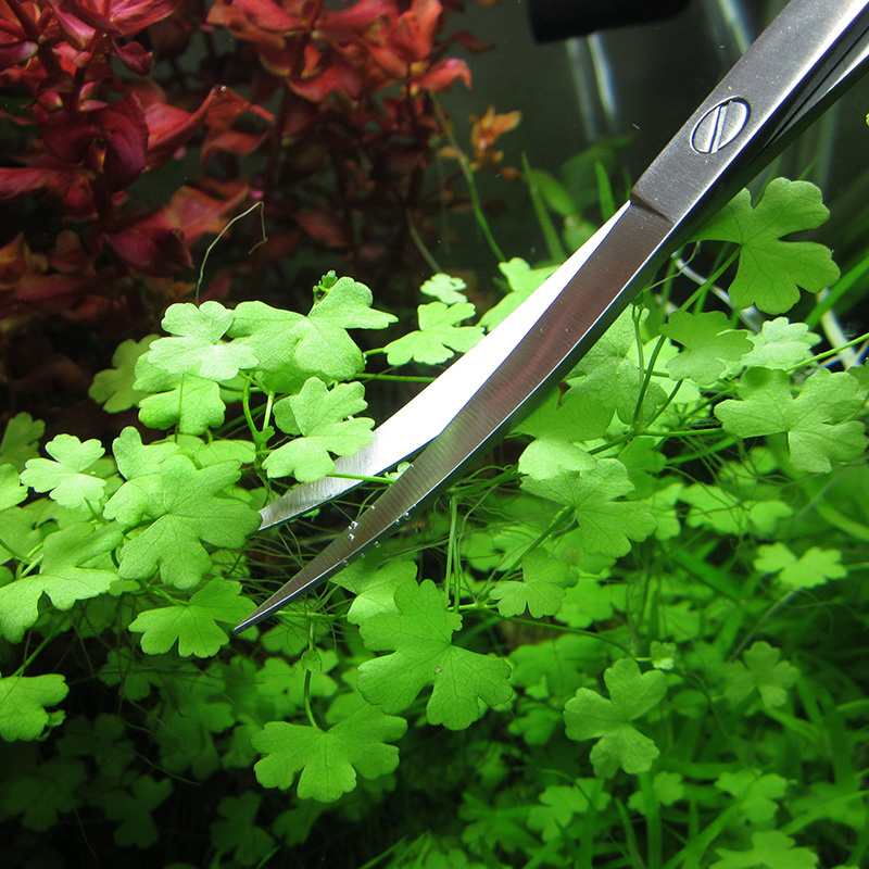 Aquarium Accessories Hard Stai - Aquarium & Marine Museum Ums ulasan dan harga