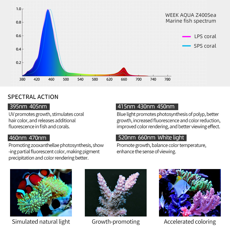 ZXY Hot Sale WEEKAQUA Z250 Z40 - Marine Aquarium Led Lights ulasan dan harga
