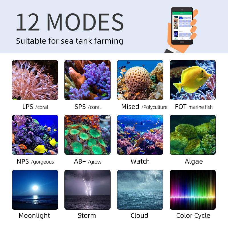 ZXY Hot Sale WEEKAQUA Z250 Z40 - Marine Aquarium Led Lights ulasan dan harga
