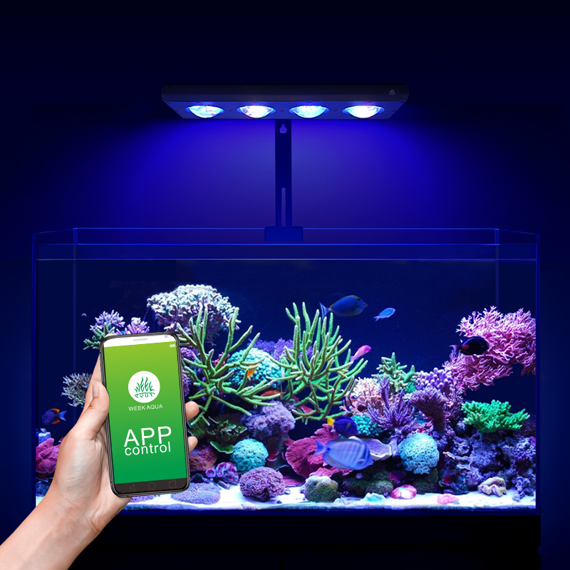 ZXY Hot Sale WEEKAQUA Z250 Z40 - Marine Aquarium Led Lights ulasan dan harga