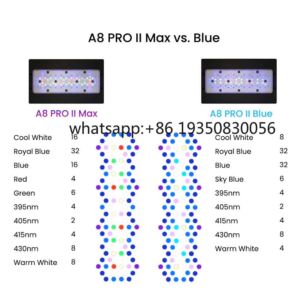 2026-A8 PRO II Max and Blue 24 - Marine Aquarium & Regional Centre Reviews ulasan dan harga