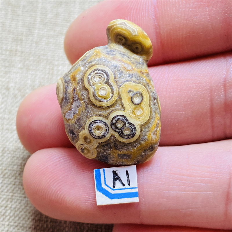 Gobi Mineral Stone Energy Heal - Aquarium & Marine Museum Ums ulasan dan harga