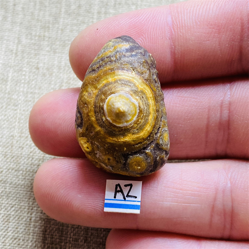 Gobi Mineral Stone Energy Heal - Aquarium & Marine Museum Ums ulasan dan harga