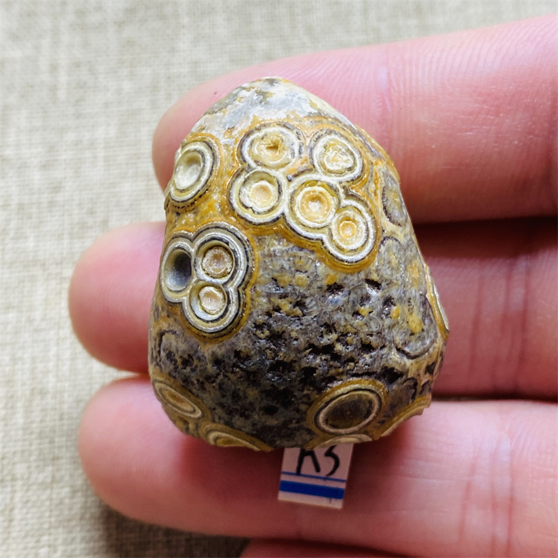 Gobi Mineral Stone Energy Heal - Aquarium & Marine Museum Ums ulasan dan harga