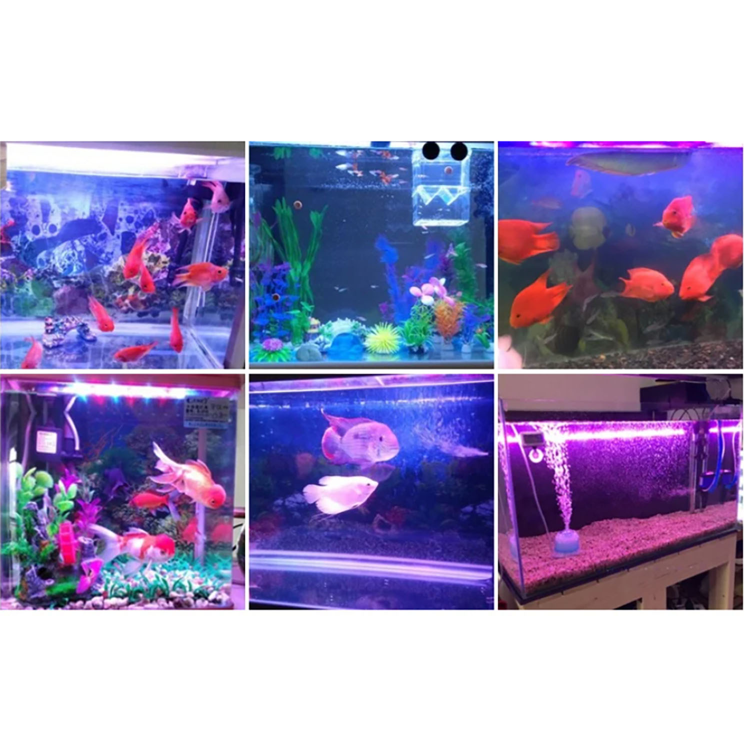 50W 60W 70W 100W RGB 26-28V Hi - Aquarium Marine Color ulasan dan harga