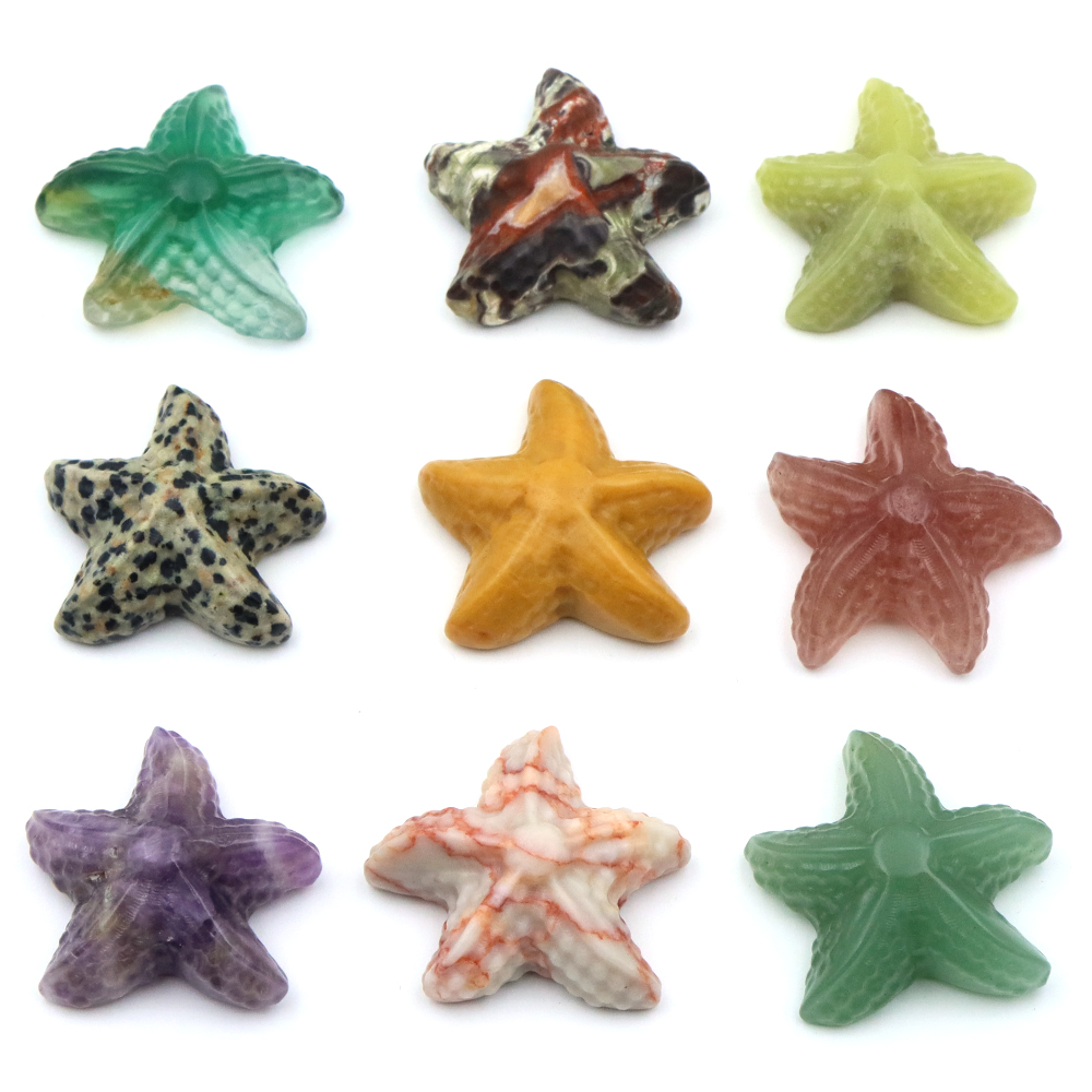 35mm Starfish Shape Statue Mar - Marine Aquarium & Regional Centre Reviews ulasan dan harga
