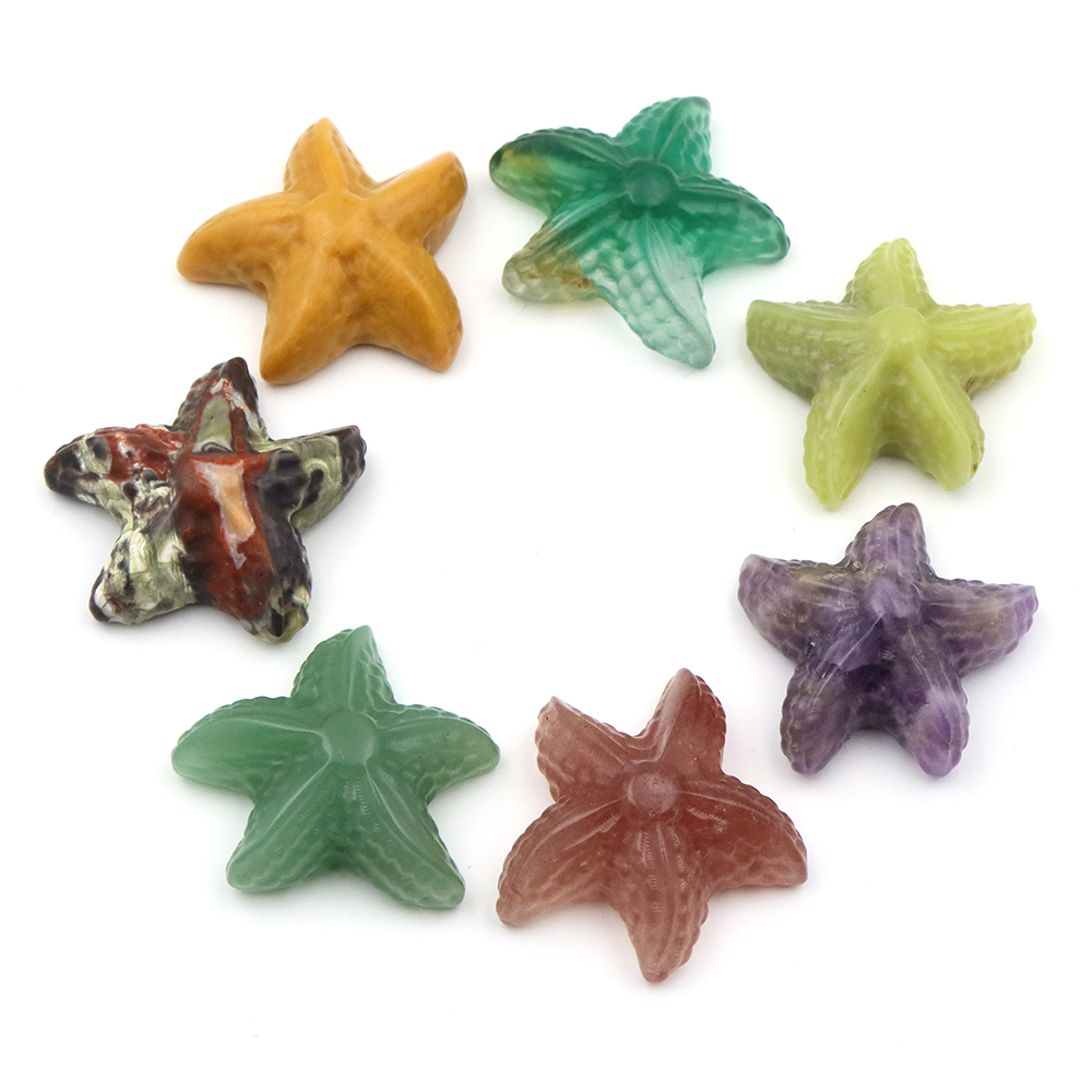 35mm Starfish Shape Statue Mar - Marine Aquarium & Regional Centre Reviews ulasan dan harga