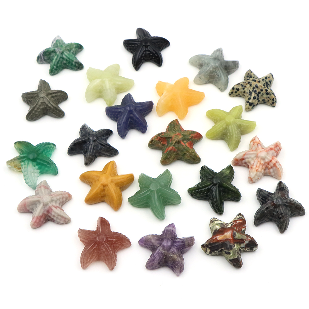 35mm Starfish Shape Statue Mar - Marine Aquarium & Regional Centre Reviews ulasan dan harga