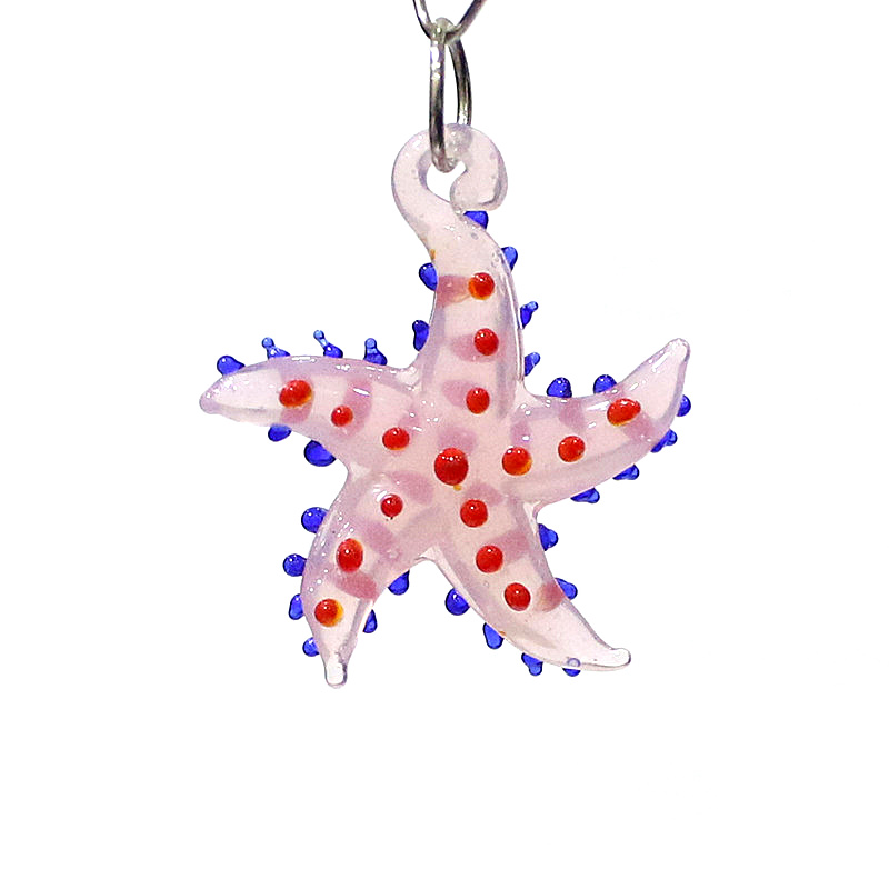 Cute Marine Animal Starfish Ch - Marine Aquarium & Regional Centre Reviews ulasan dan harga