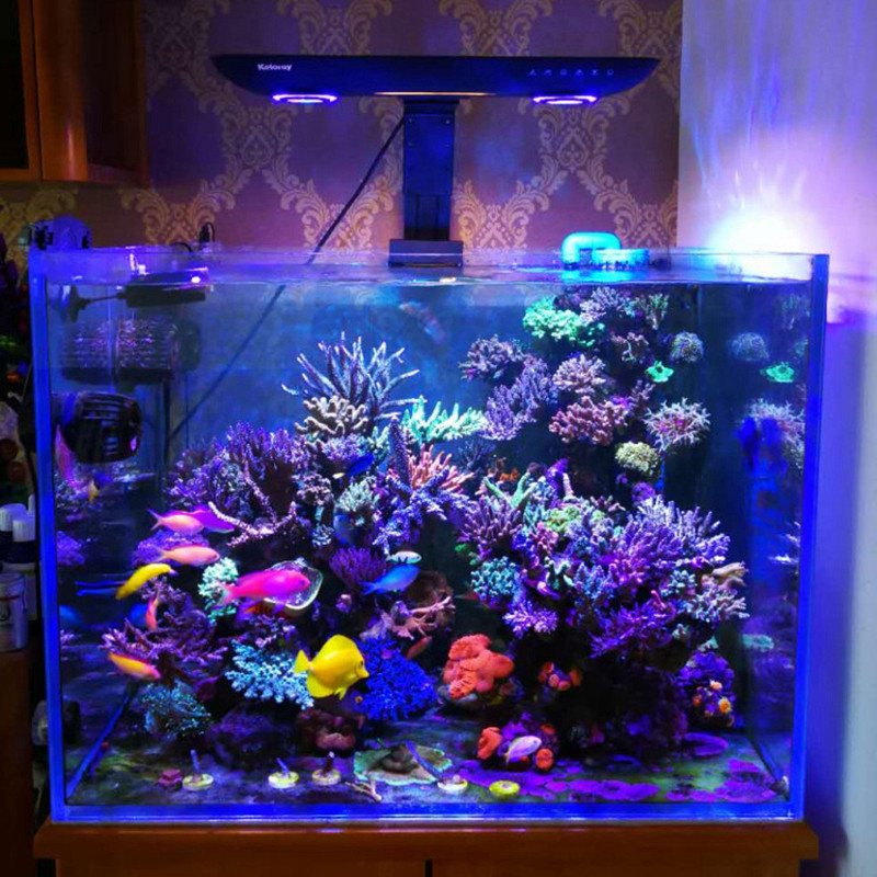 AE200 200W Aquarium Coral Reef - Marine Aquarium Led Lights ulasan dan harga