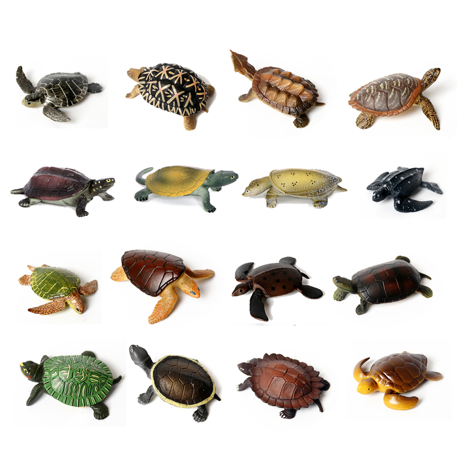 Realistic Miniatures Marine Li - Marine Aquarium & Regional Centre Reviews ulasan dan harga