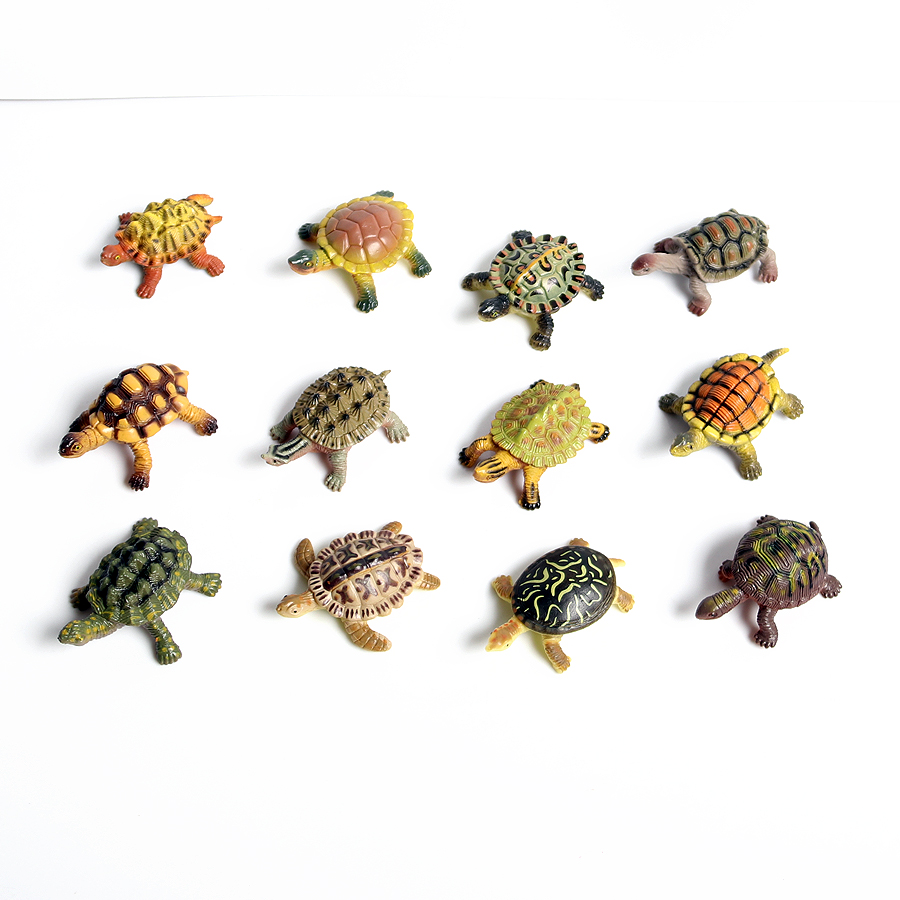 Realistic Miniatures Marine Li - Marine Aquarium & Regional Centre Reviews ulasan dan harga